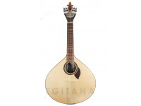 APC GF312LS frente completa APC GF312LS frente completa